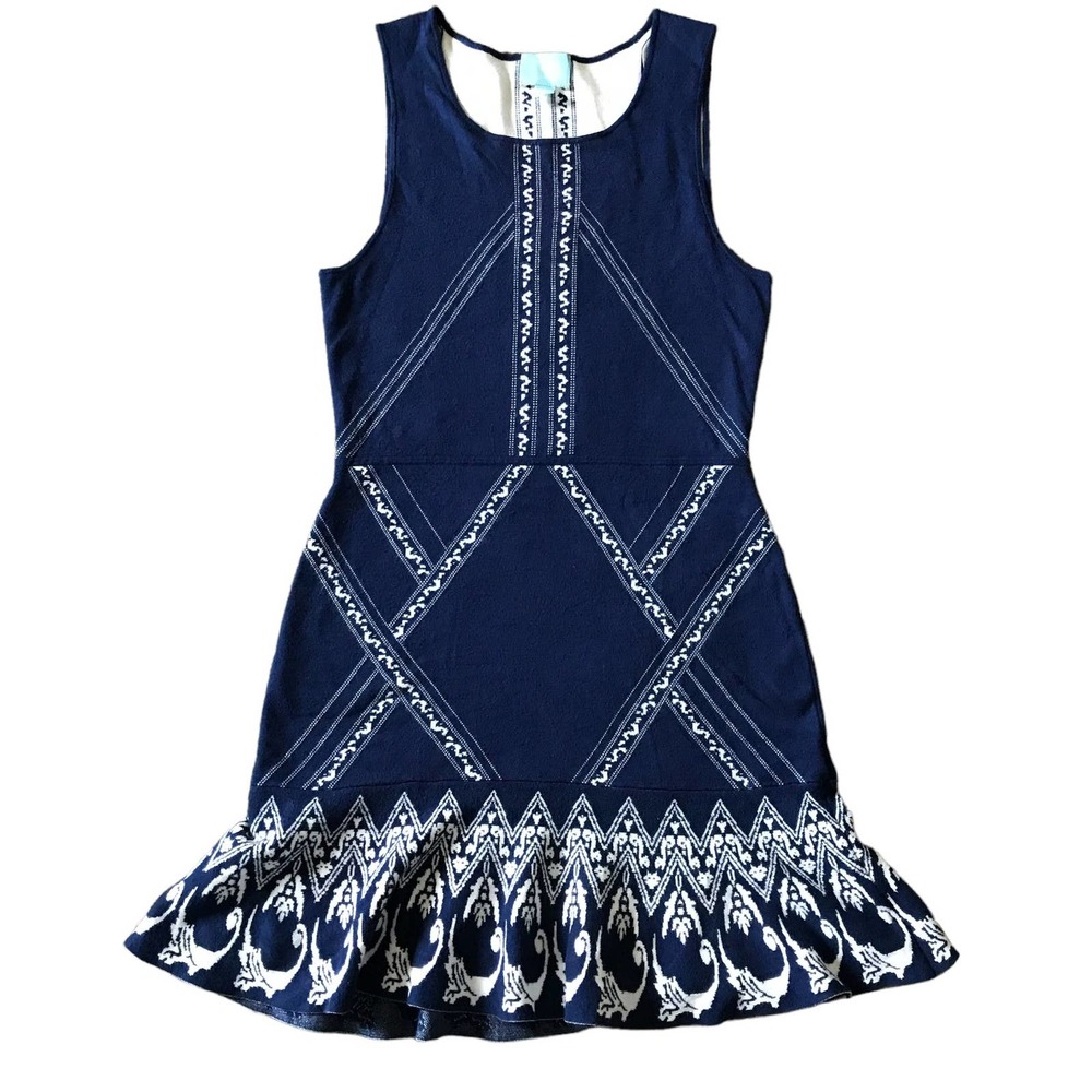 CeCe By Cynthia Steffe Fit & Flare Blue & White Tank Sweater Dress SZ L